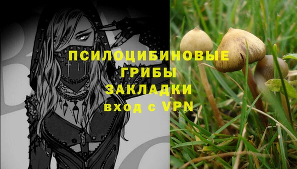 герыч Осинники