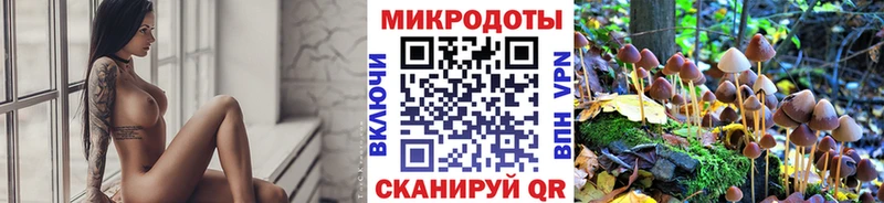 Галлюциногенные грибы ЛСД ссылка на мегу ссылки Козьмодемьянск